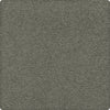 Naturalist Gray