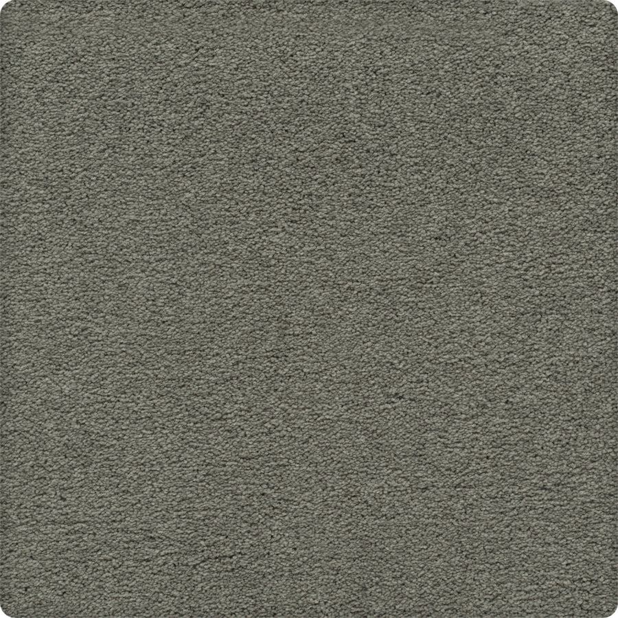 A close-up of the Traditional Cheer Pet Friendly Carpet in Naturalist Gray, featuring a soft, even, pet-friendly surface with rounded corners and textured detailing.