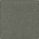 Naturalist Gray