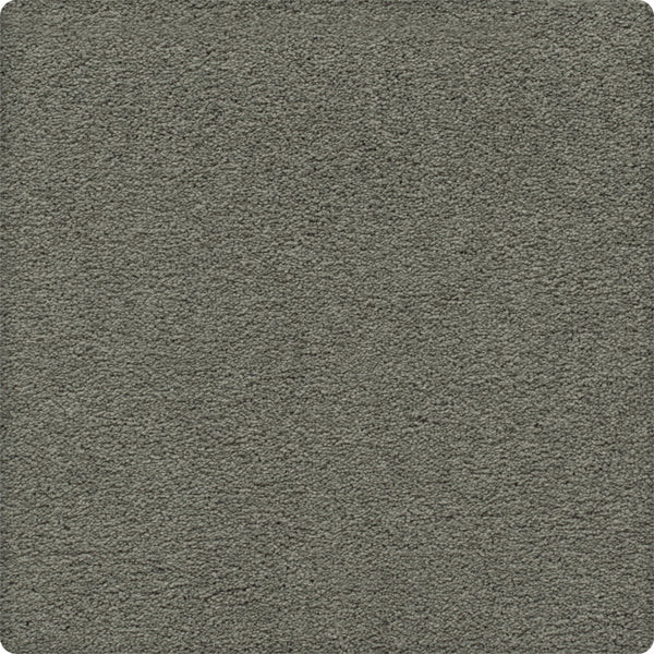A close-up of the Traditional Cheer Pet Friendly Carpet in Naturalist Gray, featuring a soft, even, pet-friendly surface with rounded corners and textured detailing.