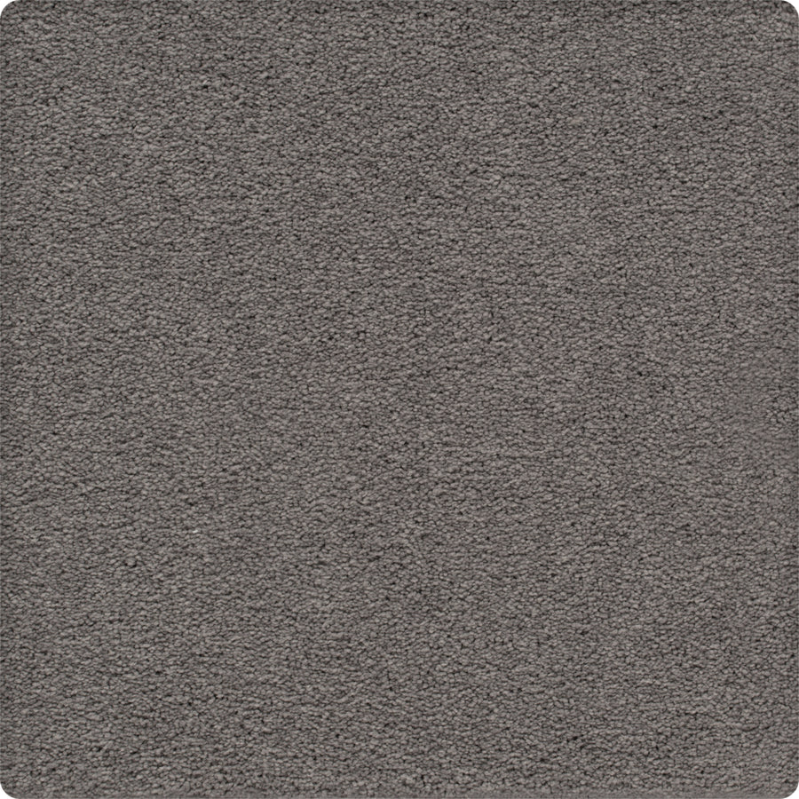 Close-up of Traditional Cheer Pet Friendly Carpet in Graphic color, featuring a soft, fuzzy texture and stain-resistant surface. The square sample has slightly rounded corners and appears clean and uniform.
