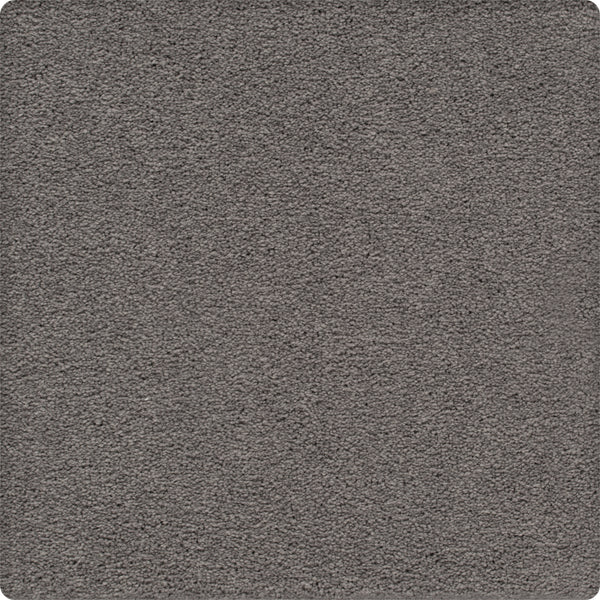 Close-up of Traditional Cheer Pet Friendly Carpet in Graphic color, featuring a soft, fuzzy texture and stain-resistant surface. The square sample has slightly rounded corners and appears clean and uniform.