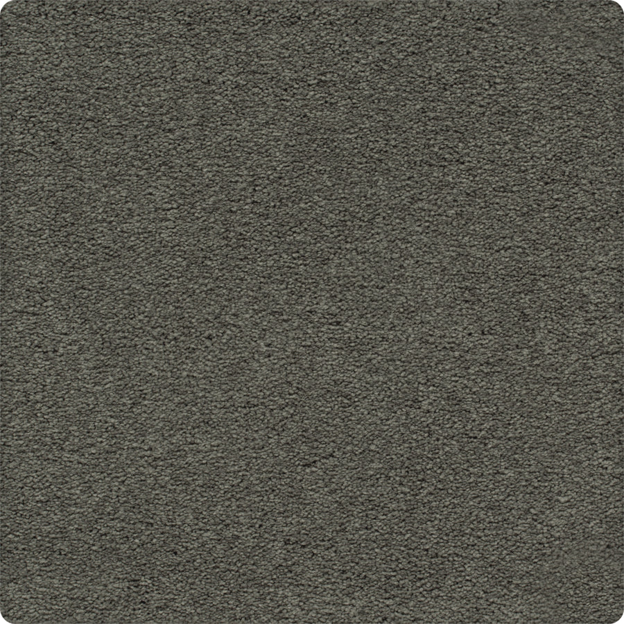 A close-up of Traditional Cheer Pet Friendly Carpet in Bonsai color shows its dark gray, stain-resistant, short dense fibers—designed for durability and pet friendliness.