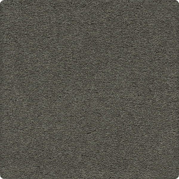 A close-up of Traditional Cheer Pet Friendly Carpet in Bonsai color shows its dark gray, stain-resistant, short dense fibers—designed for durability and pet friendliness.