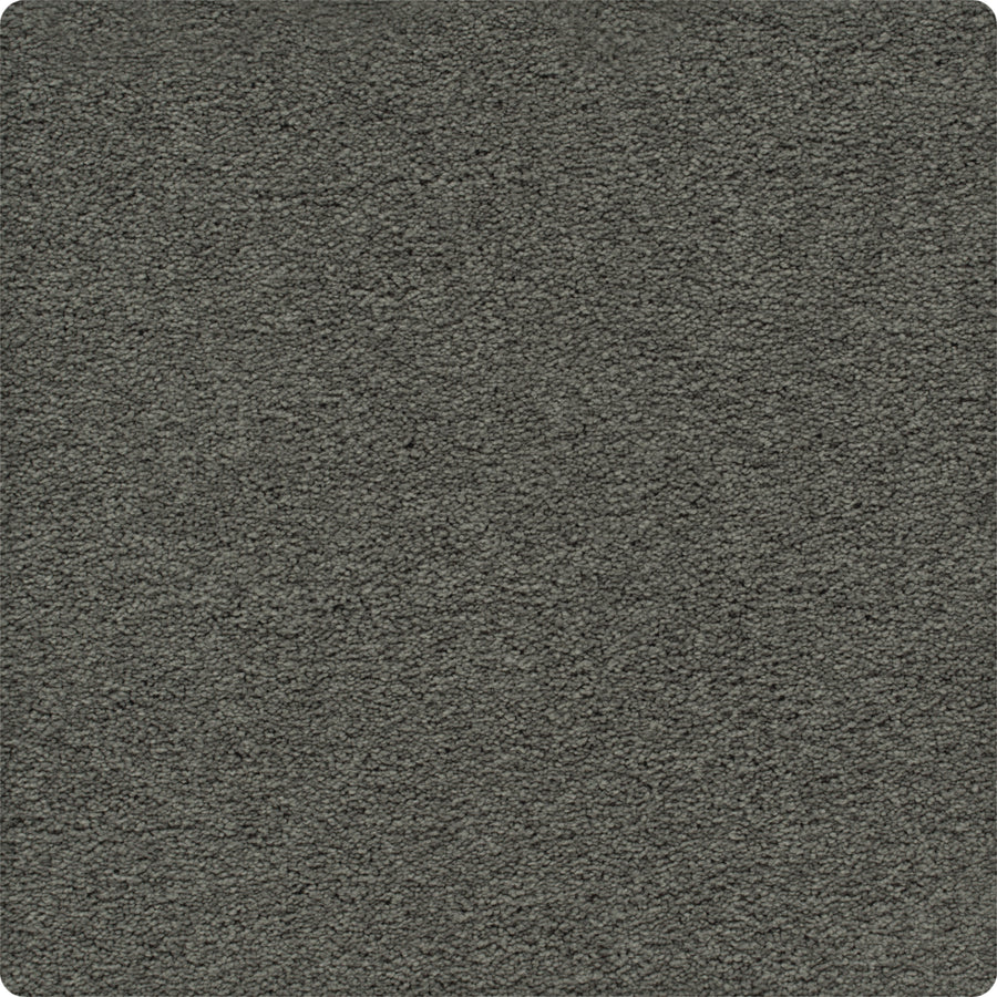 A close-up of the Traditional Cheer Pet Friendly Carpet in Charcoal shows its soft, plush surface with subtle color variation. The durable texture is inviting, and the carpet’s slightly rounded edges add to its modern appeal.