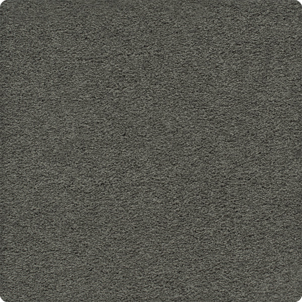 A close-up of the Traditional Cheer Pet Friendly Carpet in Charcoal shows its soft, plush surface with subtle color variation. The durable texture is inviting, and the carpet’s slightly rounded edges add to its modern appeal.