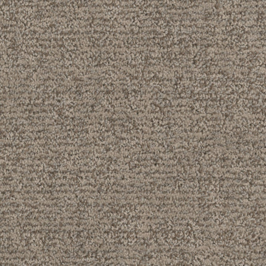 Close-up of Balance Family Friendly Carpet in Tranquil, featuring a durable looped pile and soft beige-brown tones with subtle color variations—ideal for family spaces.