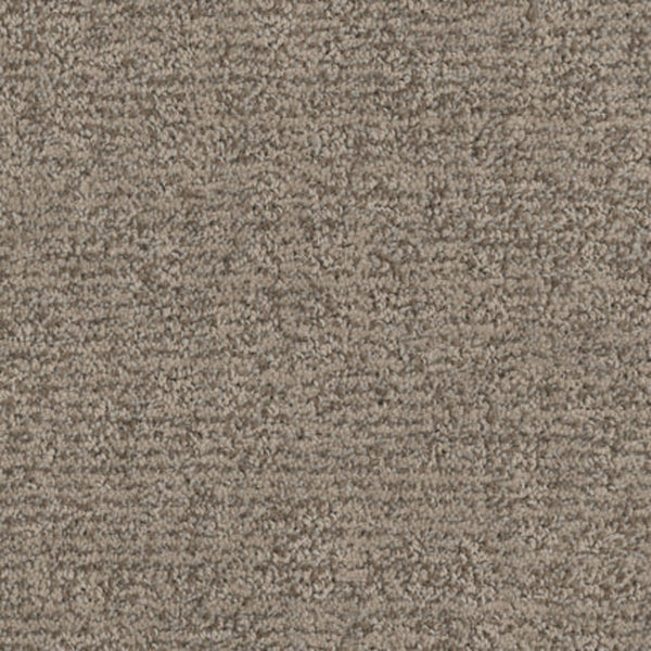 Close-up of Balance Family Friendly Carpet in Tranquil, featuring a durable looped pile and soft beige-brown tones with subtle color variations—ideal for family spaces.