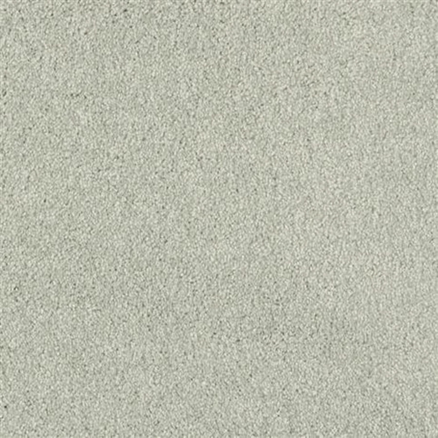Close-up of Oceanside Family Friendly Carpet in Tree Moss, featuring a soft, textured plush surface with an even pile—ideal for family spaces.