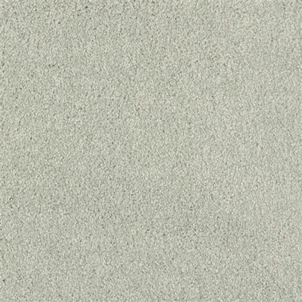 Close-up of Oceanside Family Friendly Carpet in Tree Moss, featuring a soft, textured plush surface with an even pile—ideal for family spaces.