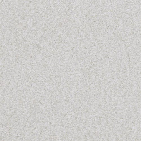 Close-up of Boca Raton Family Friendly Carpet in Trustworthy color shows a light gray, finely textured, even surface with no visible patterns—ideal for a premium look.