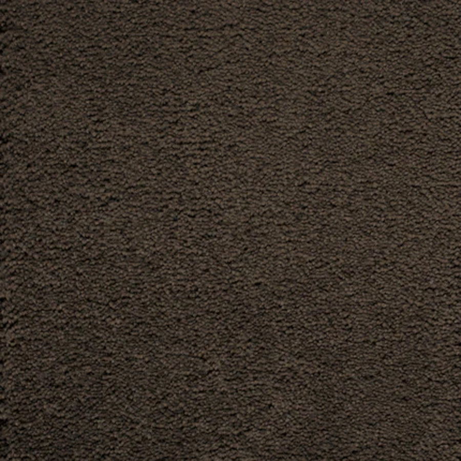 The Dolce Family Friendly Carpet in Turkish features a dark brown textured look with a soft, slightly uneven surface, offering cozy comfort—perfect for high-traffic areas in any family-friendly home.