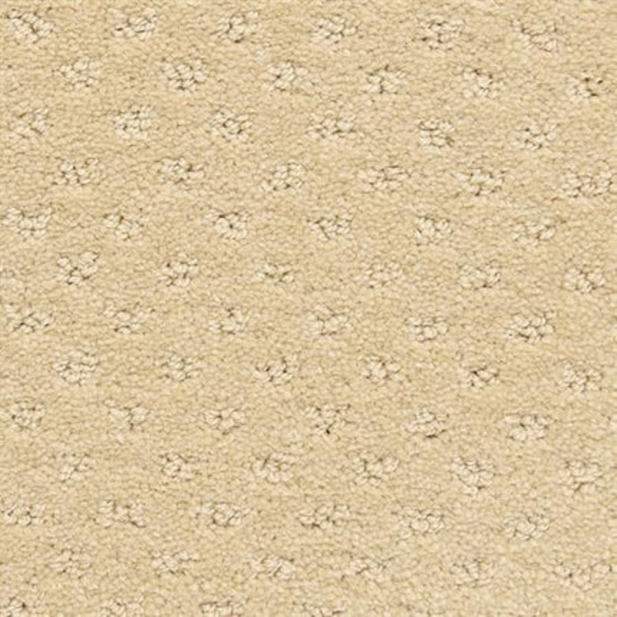 Close-up of Dreamer On Trend Carpet in Tuscan Gold, featuring plush fibers and a subtle pattern of evenly spaced, small, raised dots for a luxurious, textured flooring surface.
