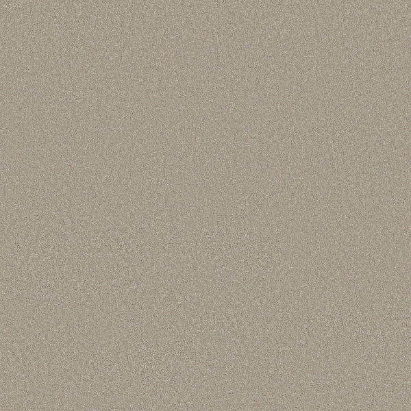 Close-up view of Smooth Tone Blue Pet Friendly Carpet in Twilight Taupe—features a smooth, light beige surface with fine grains and a uniform, slightly textured appearance for a refined, elegant finish.