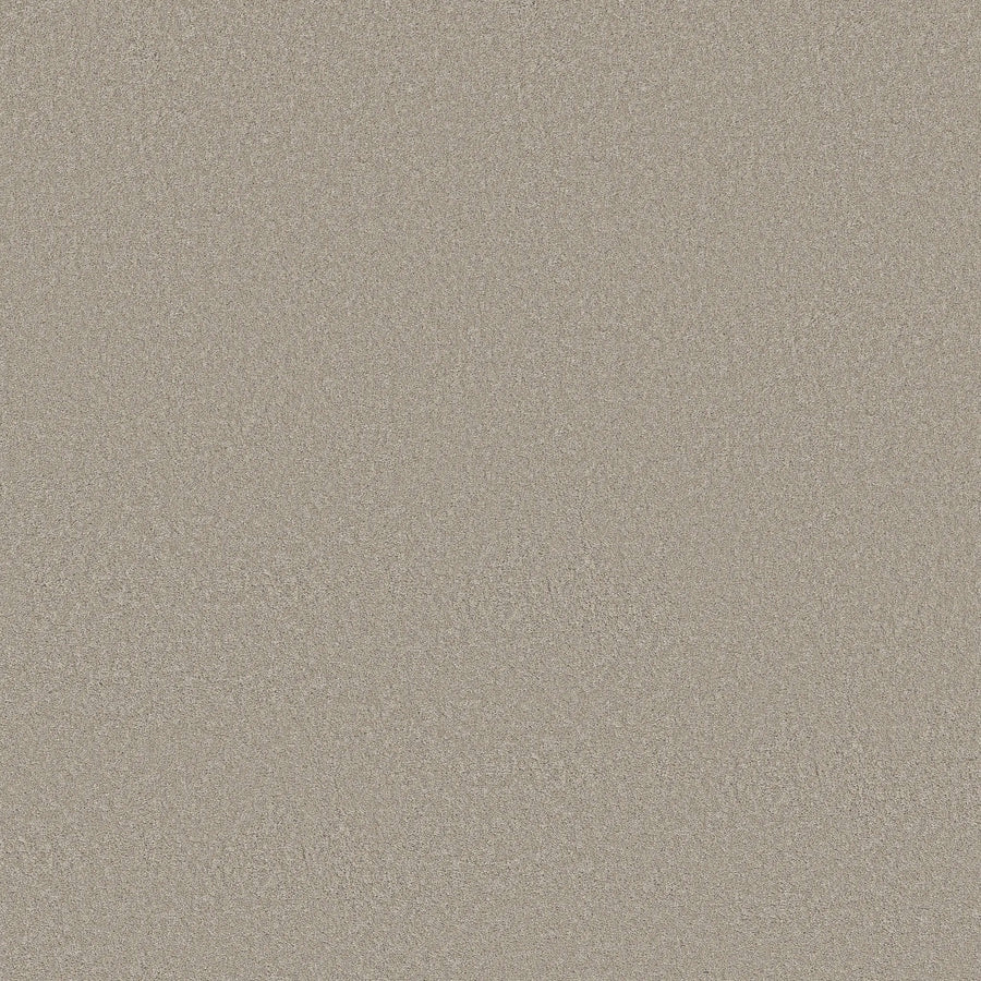 A close-up of the Twilight Taupe shade from Classic Tone Blue Pet Friendly Carpet, highlighting its fine grains and uniform natural texture ideal for homes with pets.