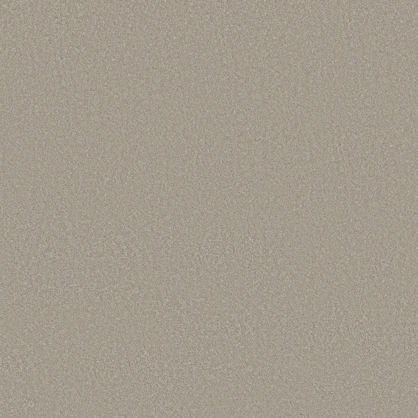 A close-up of the Twilight Taupe shade from Classic Tone Blue Pet Friendly Carpet, highlighting its fine grains and uniform natural texture ideal for homes with pets.