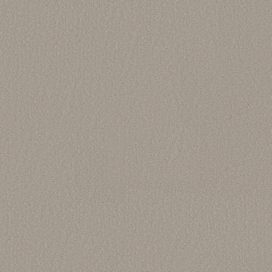 A close-up of the Crafted Tone Pet Friendly Carpet in Twilight Taupe, showing its subtle, evenly distributed fine grain pattern and textured surface.