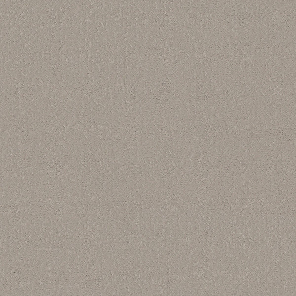 A close-up of the Crafted Tone Pet Friendly Carpet in Twilight Taupe, showing its subtle, evenly distributed fine grain pattern and textured surface.