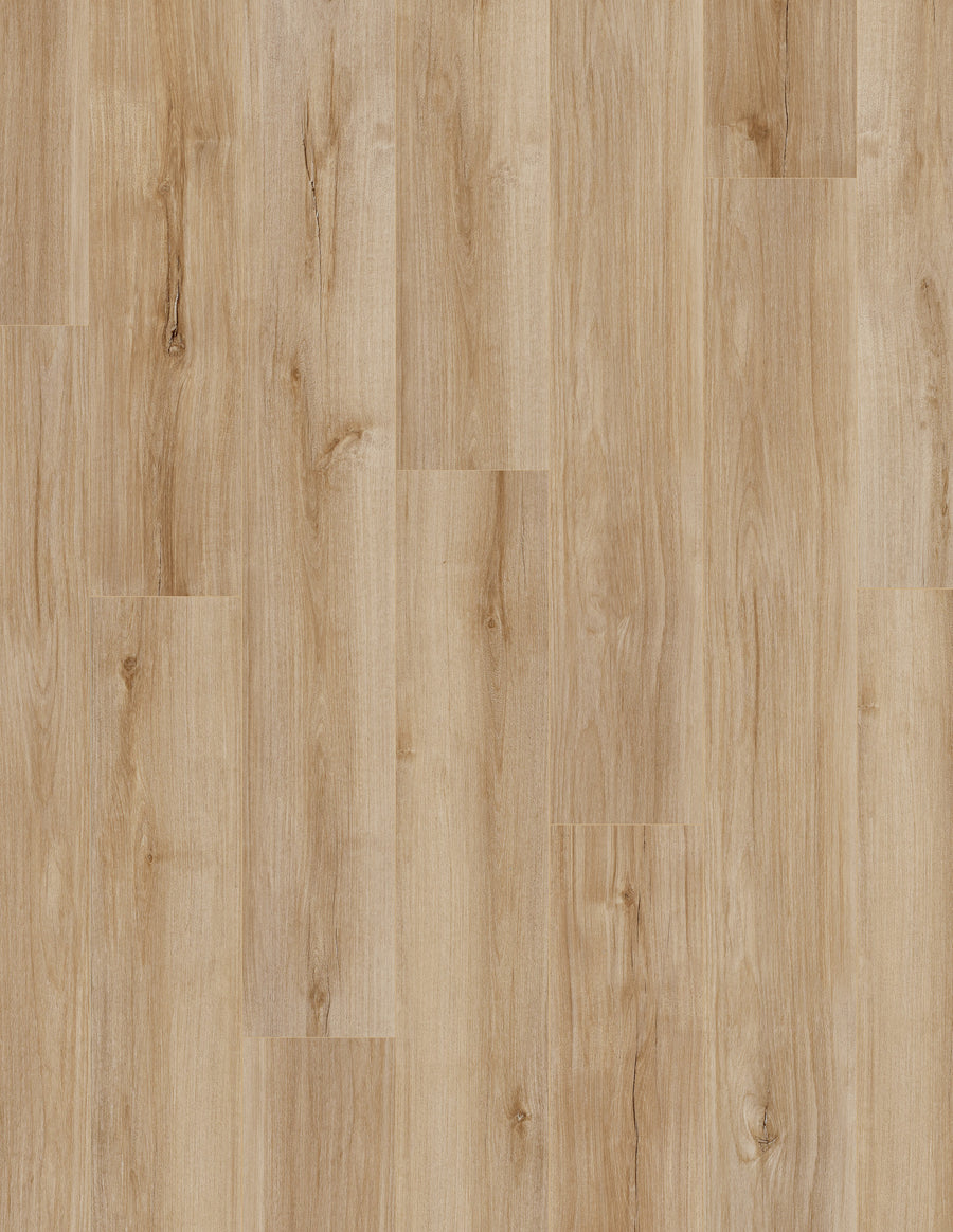 Coretec Pro Plus Enhanced Vinyl features a light brown wood look with natural grain and knots in horizontal planks. This luxury, waterproof flooring has a smooth finish, subtle color variations, and offers both elegance and durability.