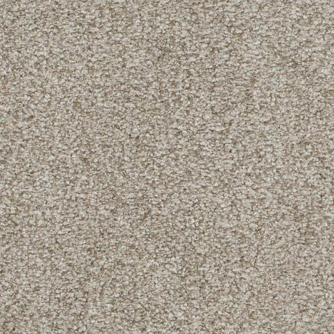 Close-up view of Boca Raton Family Friendly Carpet in Unwavering—a textured beige looped pile, crafted from premium materials for a soft, slightly speckled surface. An ideal, durable flooring choice for any space.
