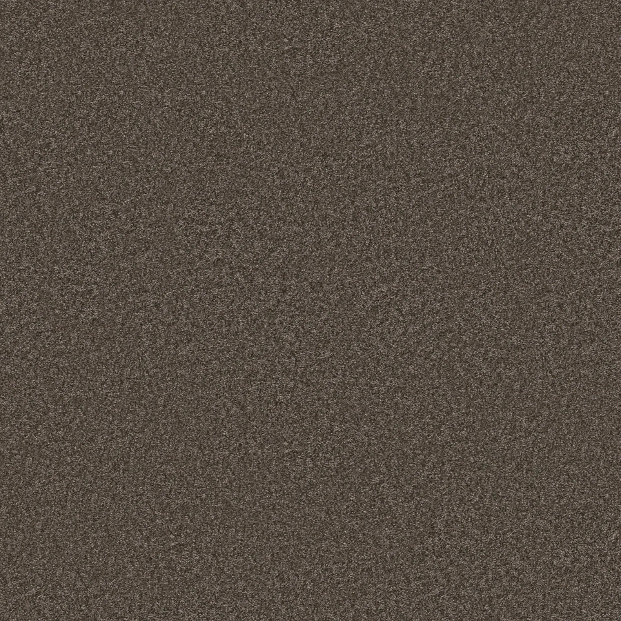 A close-up of the Urban color in You Got This III Pet Friendly Carpet shows its durable, evenly speckled surface with a textured appearance, ideal for flooring that withstands daily wear.