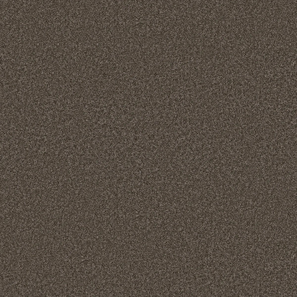 A close-up of the Urban color in You Got This III Pet Friendly Carpet shows its durable, evenly speckled surface with a textured appearance, ideal for flooring that withstands daily wear.