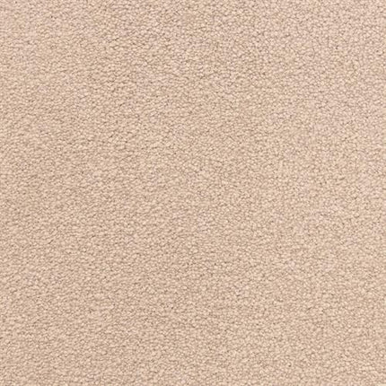Grand Isle Family Friendly Carpet in Urchin features a beige, textured surface with uniform color and gentle bumpiness—designed for lasting comfort and perfect for any home.