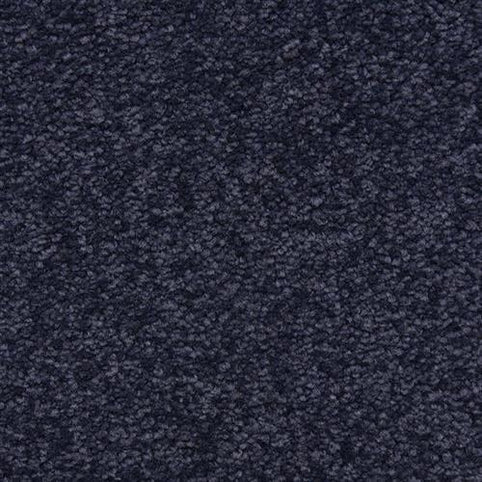 Close-up view of Morgan Bay Family Friendly Carpet in Varsity color, featuring a dark gray, textured high-traffic surface with dense, looped fibers for a soft, plush look suitable for family spaces.