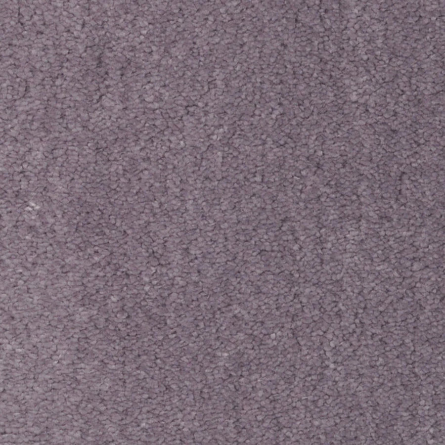 A close-up of the Seduction On Trend Carpet in Veiled Plum shows its soft, densely packed fibers and textured surface for a luxurious look.
