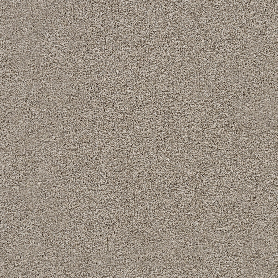 Close-up view of Spectrum II Pet Friendly Carpet in Ventura, highlighting the tightly woven, beige fibers that create a soft and uniform surface ideal for homes with furry companions.