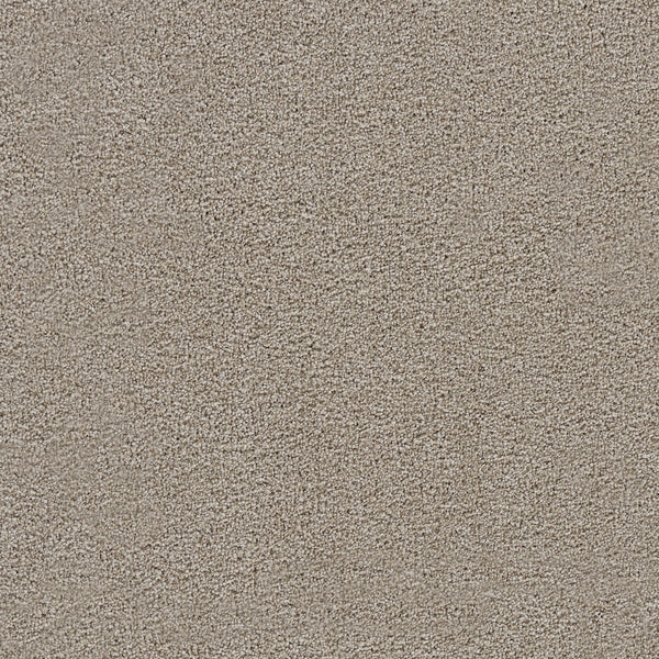 Close-up view of Spectrum II Pet Friendly Carpet in Ventura, highlighting the tightly woven, beige fibers that create a soft and uniform surface ideal for homes with furry companions.
