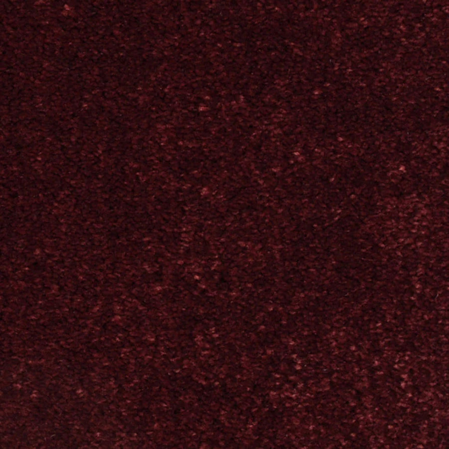 Close-up of Seduction On Trend Carpet in Vintage Merlot, featuring a dense, textured surface with deep burgundy tones and a plush, soft feel.
