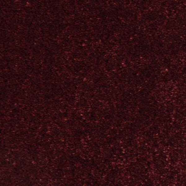 Close-up of Seduction On Trend Carpet in Vintage Merlot, featuring a dense, textured surface with deep burgundy tones and a plush, soft feel.
