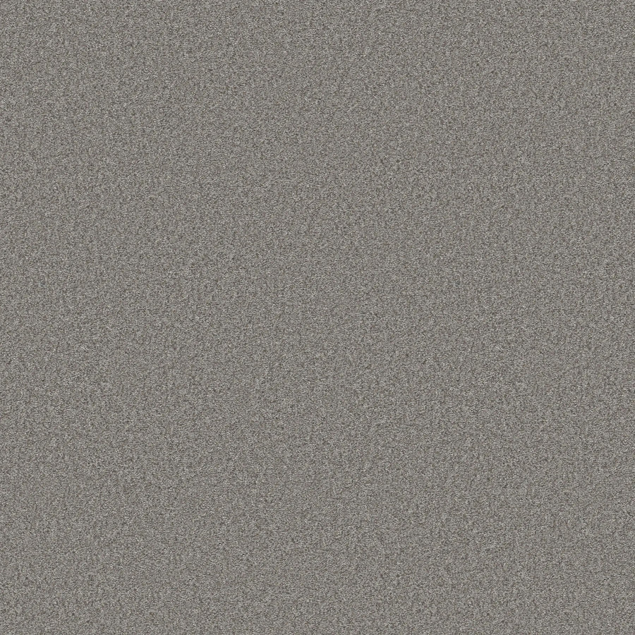 You Got This III Pet Friendly Carpet in Vintage features a static, grainy pattern of black, white, and gray dots—reminiscent of TV noise—for modern flooring that’s visually striking, durable, and has no discernible shapes or objects.