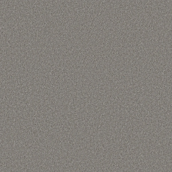 You Got This III Pet Friendly Carpet in Vintage features a static, grainy pattern of black, white, and gray dots—reminiscent of TV noise—for modern flooring that’s visually striking, durable, and has no discernible shapes or objects.