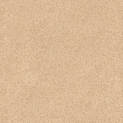 Close-up of the Tribute Family Friendly Carpet in Vogue—a beige, stain-resistant carpet with a soft, textured surface and dense, uniform pile ideal for family spaces.