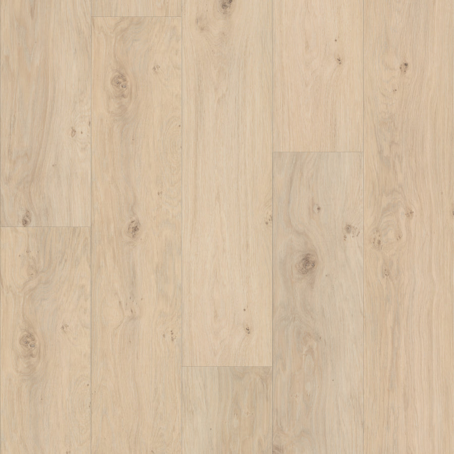 Fresh Take 9" Vinyl planks are light-colored and arranged side by side, showcasing visible natural grain patterns and occasional knots for a rustic, natural look.