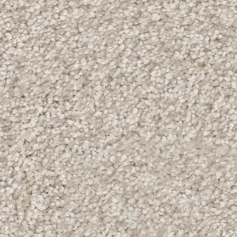 Close-up of You Got This III Pet Friendly Carpet in Warm Light color, featuring tightly woven fibers for a soft, uniform surface. Its beige tone offers a cozy, versatile look perfect for comfortable and inviting spaces.