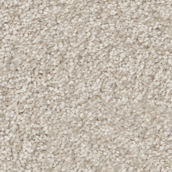 Close-up of You Got This III Pet Friendly Carpet in Warm Light color, featuring tightly woven fibers for a soft, uniform surface. Its beige tone offers a cozy, versatile look perfect for comfortable and inviting spaces.