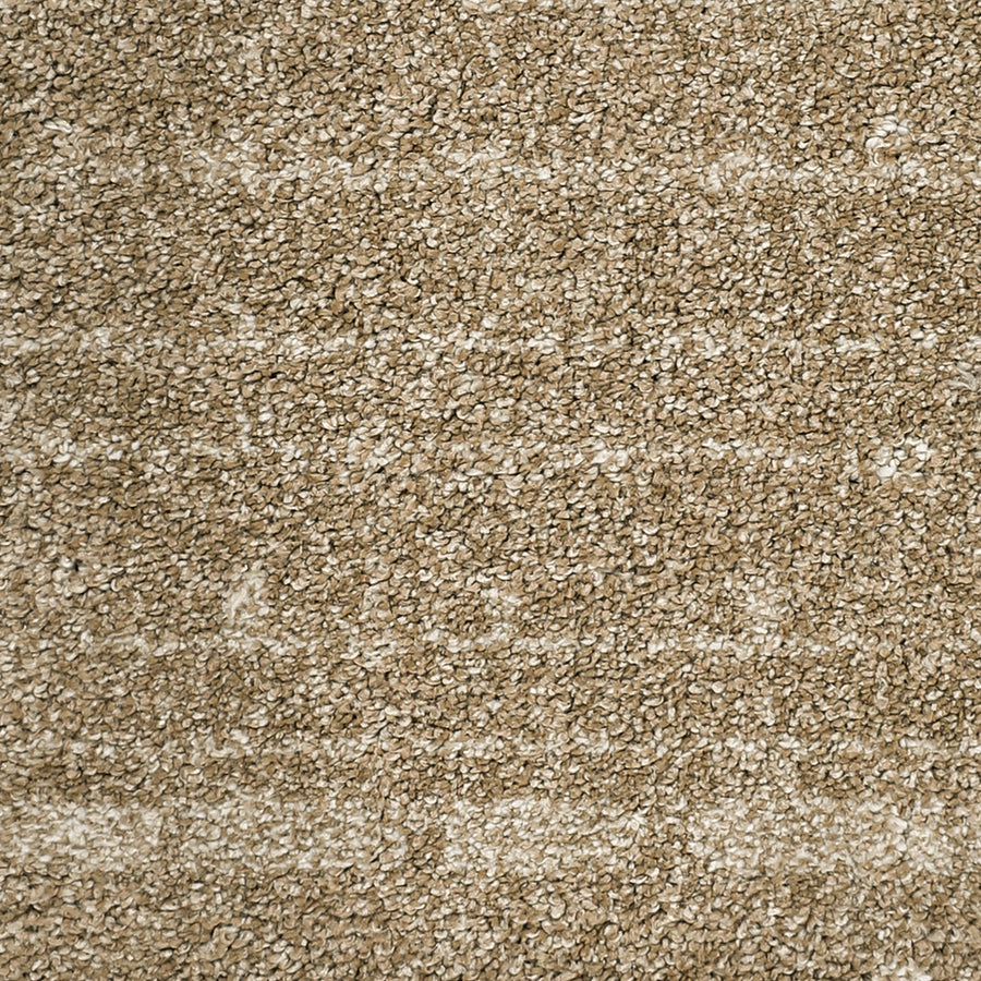 A close-up of the Furry Fun Pet Friendly Carpet shows its textured beige surface with light and dark fibers for a speckled look and soft, plush feel that's perfect for homes with pets.