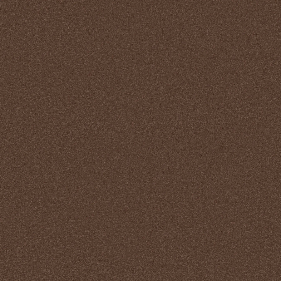 A smooth-toned surface in a uniform Warm Sunset shade, resembling fine sandpaper, ideal for pet-friendly, luxurious flooring. The Smooth Tone Blue Pet Friendly Carpet image shows no distinct patterns or objects.