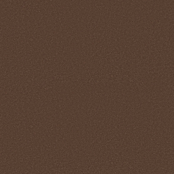 A close-up of Smooth Tone Pet Friendly Carpet in Warm Sunset, featuring a textured brown surface with a consistent, speckled look resembling durable carpet.