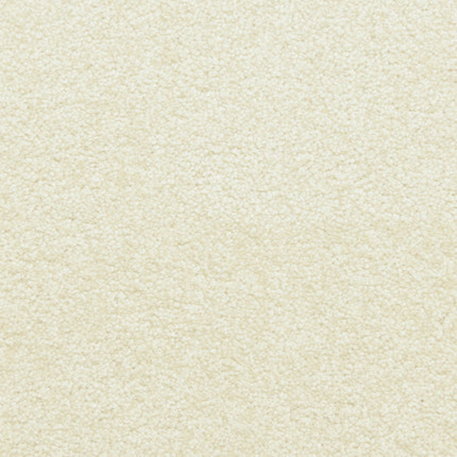 Close-up of Maroon Bells Family Friendly Carpet in Water color, showcasing its plush, textured surface. The dense, uniform fibers make it cozy and durable—an ideal choice for everyday comfort in any home.
