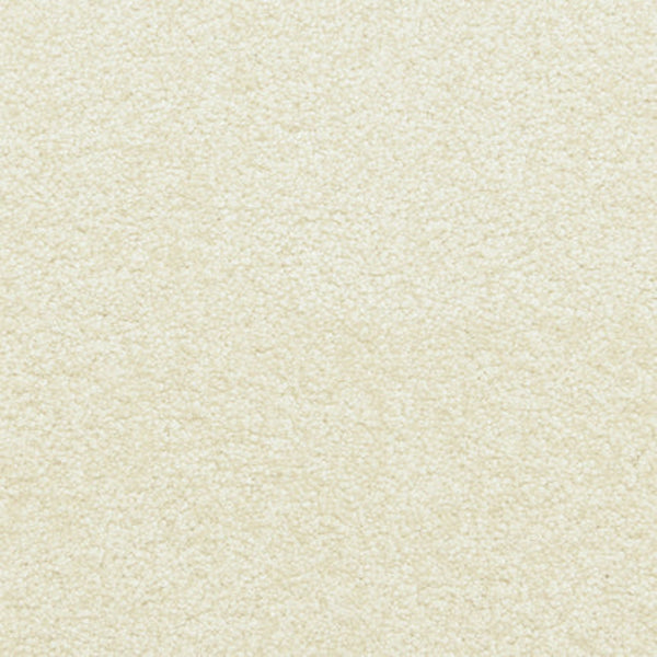 Close-up of Maroon Bells Family Friendly Carpet in Water color, showcasing its plush, textured surface. The dense, uniform fibers make it cozy and durable—an ideal choice for everyday comfort in any home.