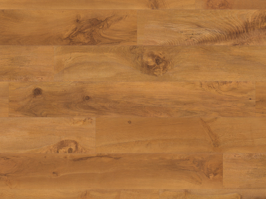 A close-up of Van Gogh Glue 7" Vinyl Plank in Wellington Oak, featuring a warm brown tone with natural wood grain, knots, and texture—ideal for high-traffic areas or glue-down vinyl plank flooring installation.