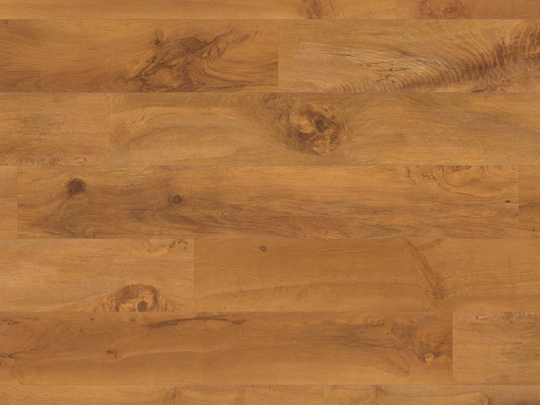 A close-up of Van Gogh Glue 7