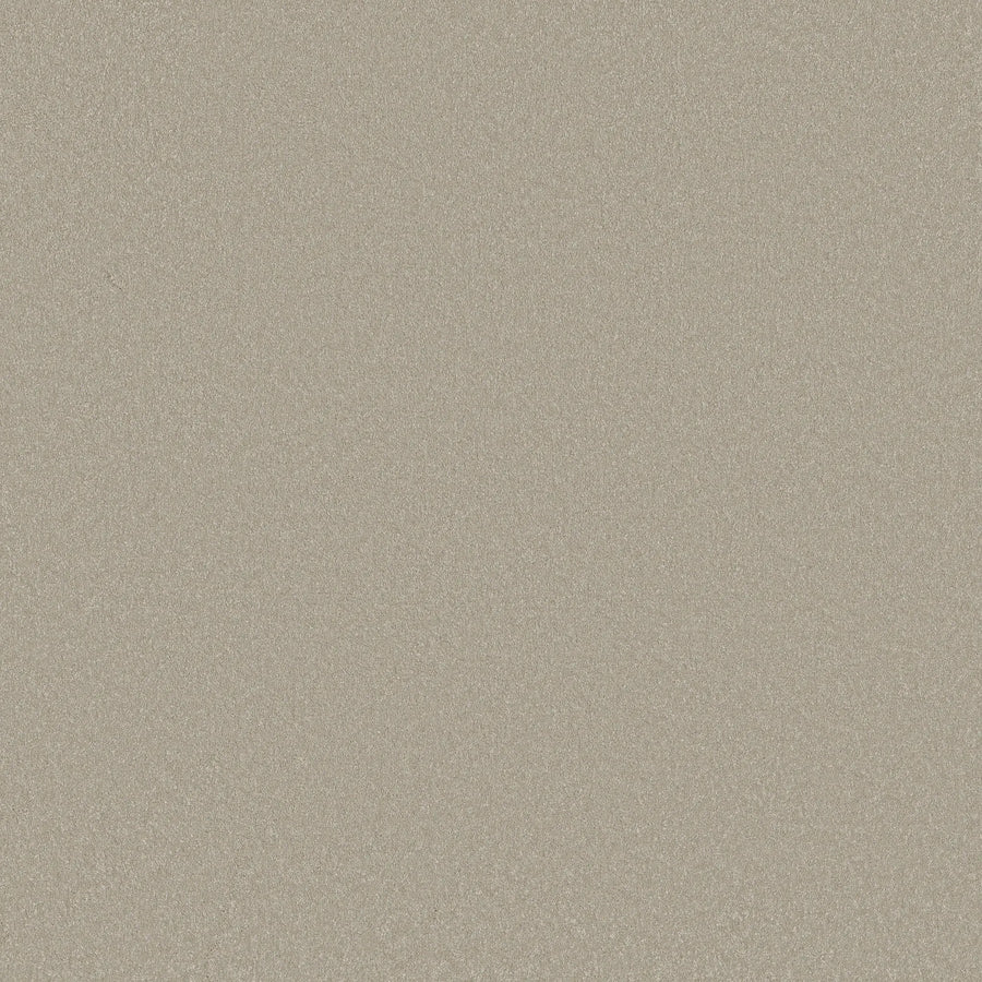 A close-up of Awaken Spirit Pet Friendly Carpet in Whiskers shows a smooth, light beige surface with fine texture, durable and softly shimmering—ideal for contemporary spaces.
