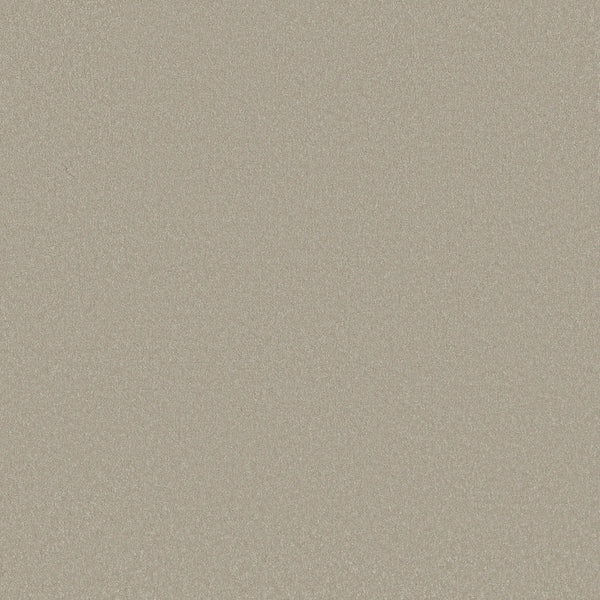 A close-up of Awaken Spirit Pet Friendly Carpet in Whiskers shows a smooth, light beige surface with fine texture, durable and softly shimmering—ideal for contemporary spaces.