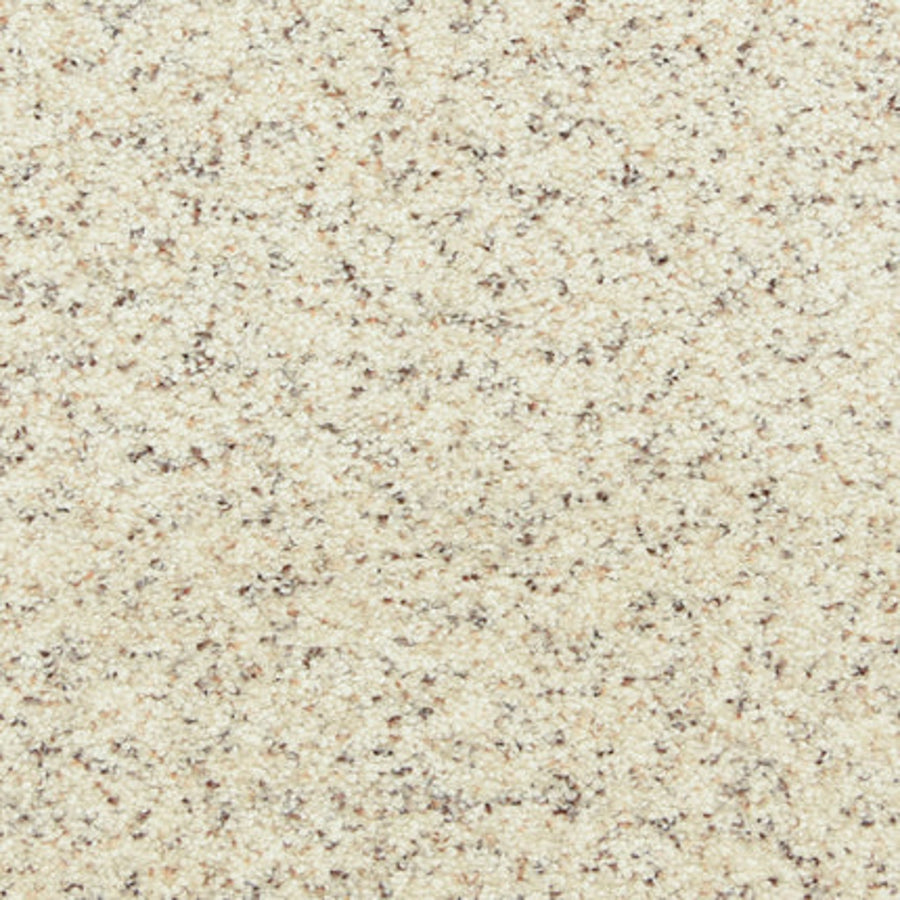 Close-up of Maroon Bells Family Friendly Carpet in Whisper Bluff, showing its coarse, grainy white texture with brown flecks—perfect for family homes.