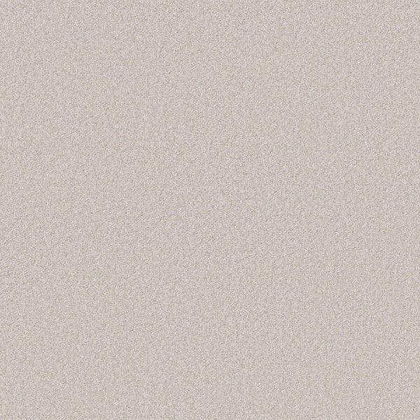 A close-up of the You Got This III Pet Friendly Carpet in White Cap reveals a smooth, light beige surface with a fine, even texture, offering modern elegance and comfort ideal for stylish flooring.